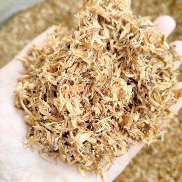 新会陈皮茶枝柑柑花