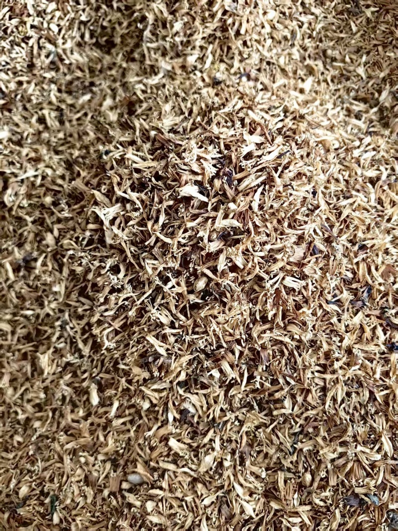 新会陈皮茶枝柑柑花