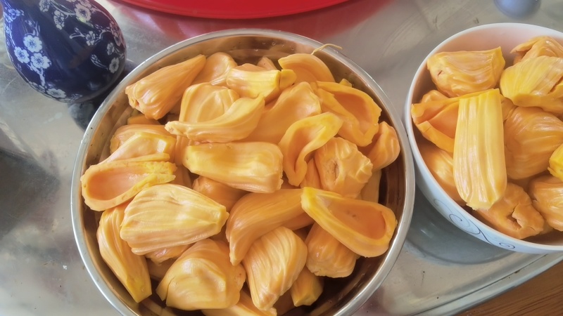 自家果园菠萝蜜