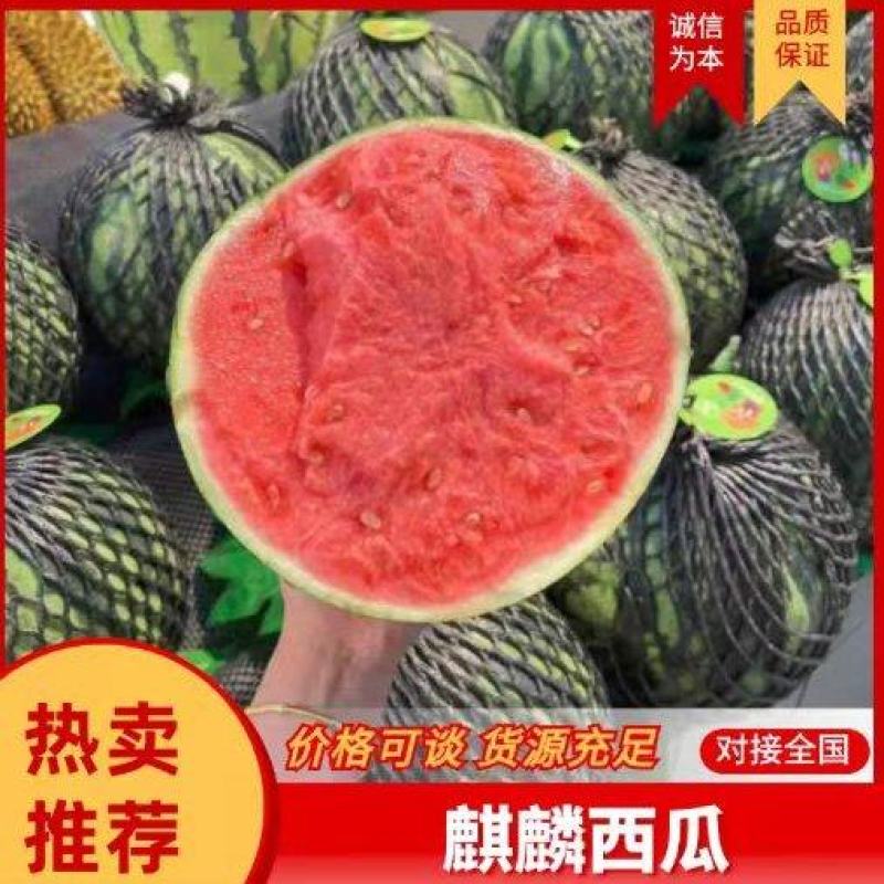 麒麟西瓜广东西瓜包熟包甜沙甜多汁诚信为本大量供