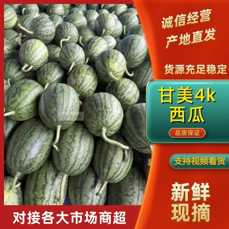 甘美4k西瓜小吊瓜产地批发现摘现发超甜对接全国