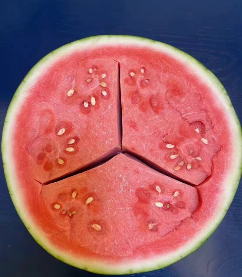 【推荐】河南高次西瓜/美都西瓜/精品西瓜/视频看货/欢迎