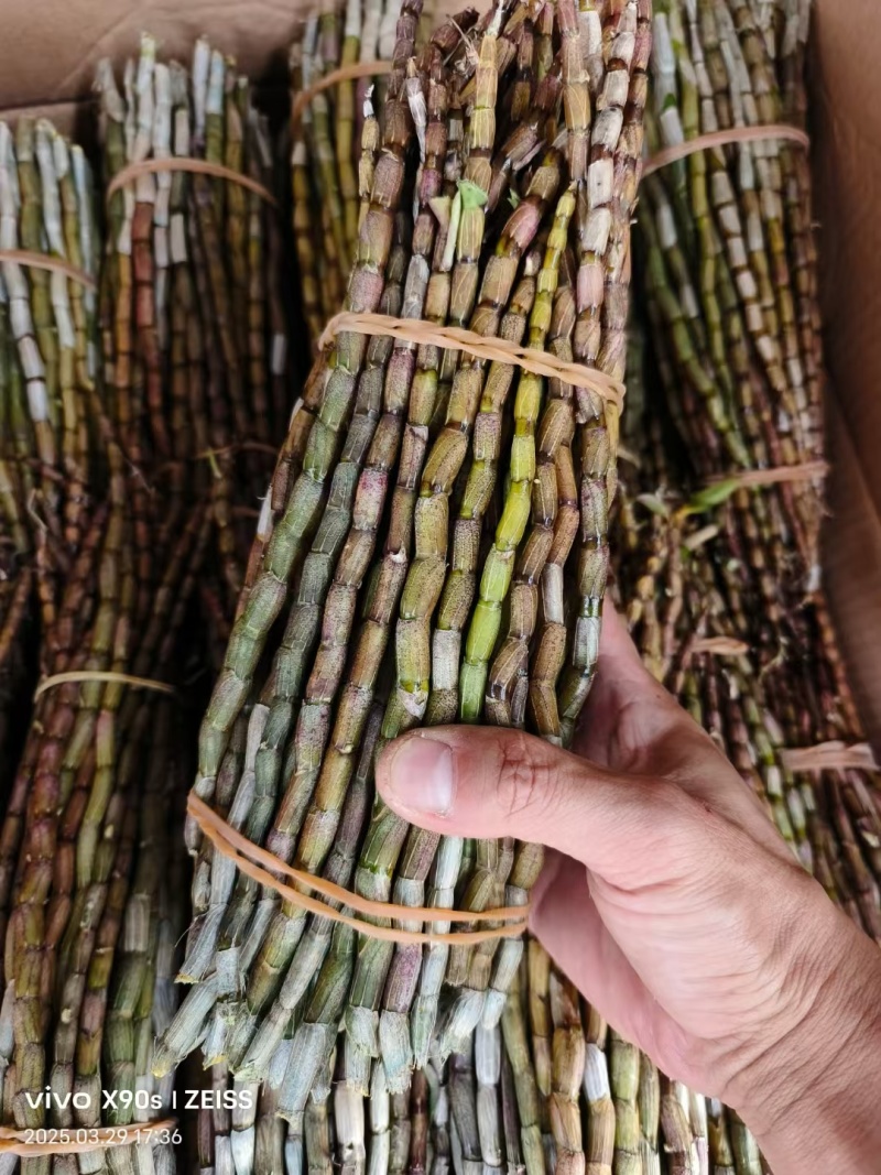 铁皮石斛干条各种规格品质保证产地直发一手货源欢迎联
