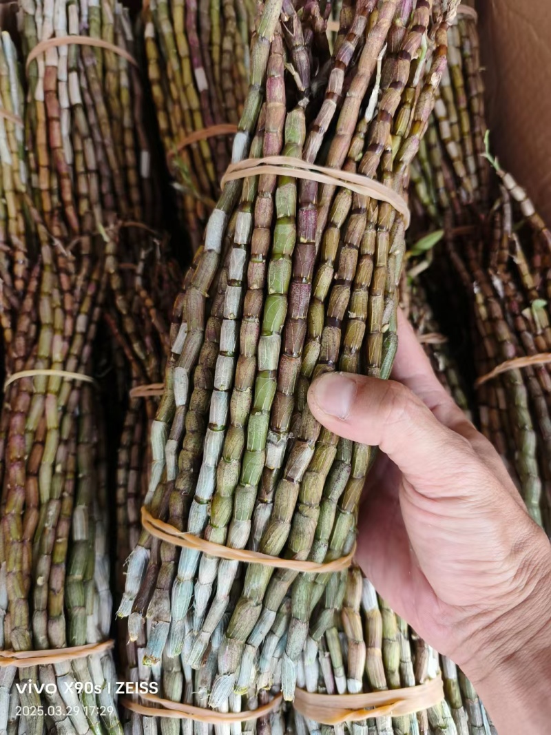 铁皮石斛干条各种规格品质保证产地直发一手货源欢迎联