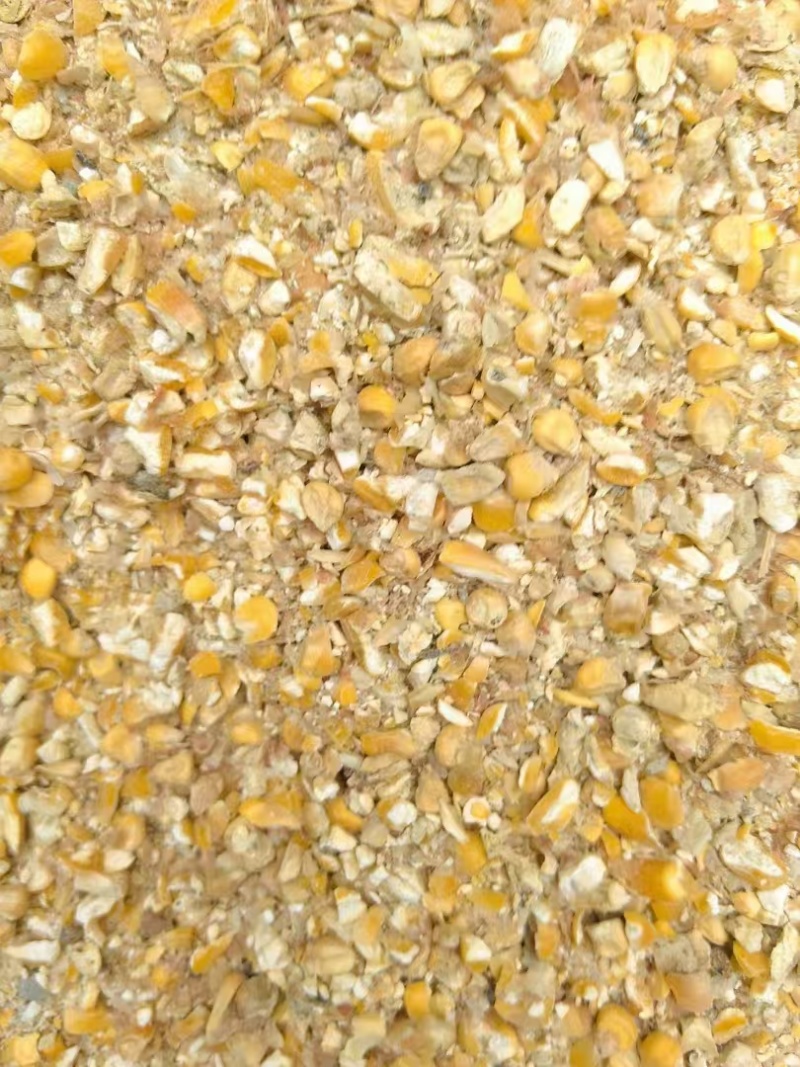 碎玉米，河北，山发货，鸡鸭鹅牛羊养殖，产地直销，常年有货