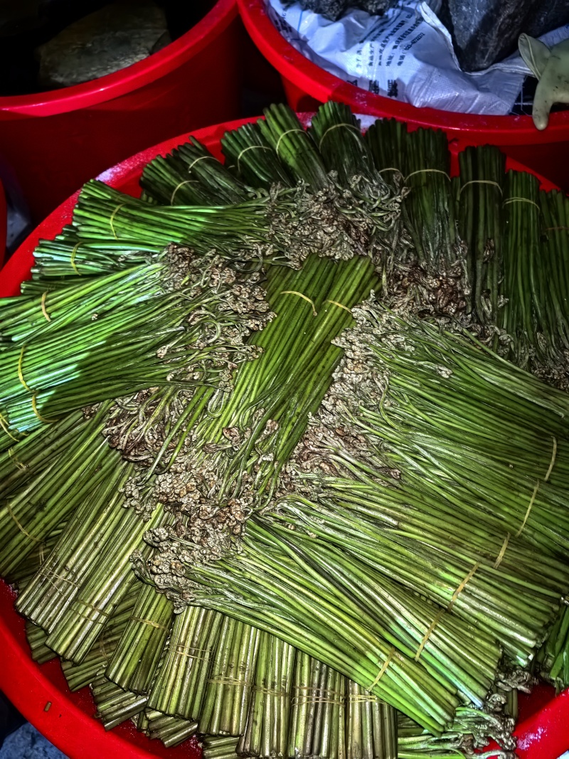 【泡菜】贵州青蕨苦蕨盐渍蕨菜大量供应