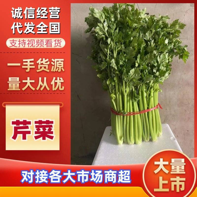 精品芹菜产地直发，质量保证一手货源，供超市电商批发市场等
