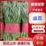 昌黎县韭菜产地直发精品货，对接批发市场档口等全国发货