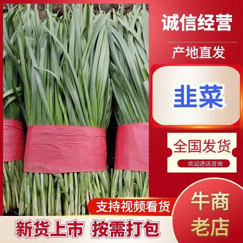昌黎县韭菜产地直发精品货，对接批发市场档口等全国发货