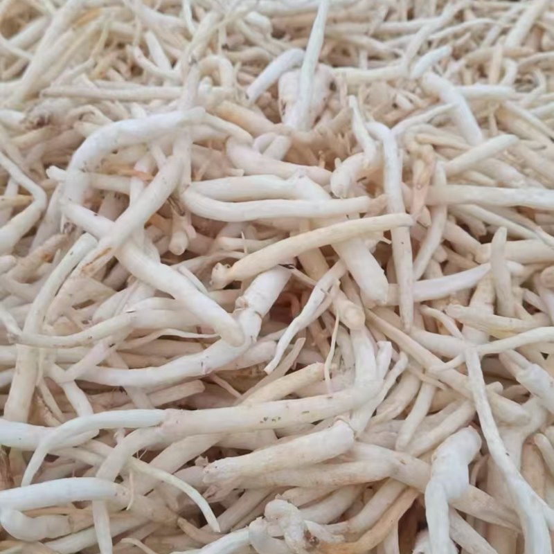 沙参，干货有硫，无硫