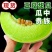 精品【玉菇甜瓜】基地直供质量保证一手货源全国发货