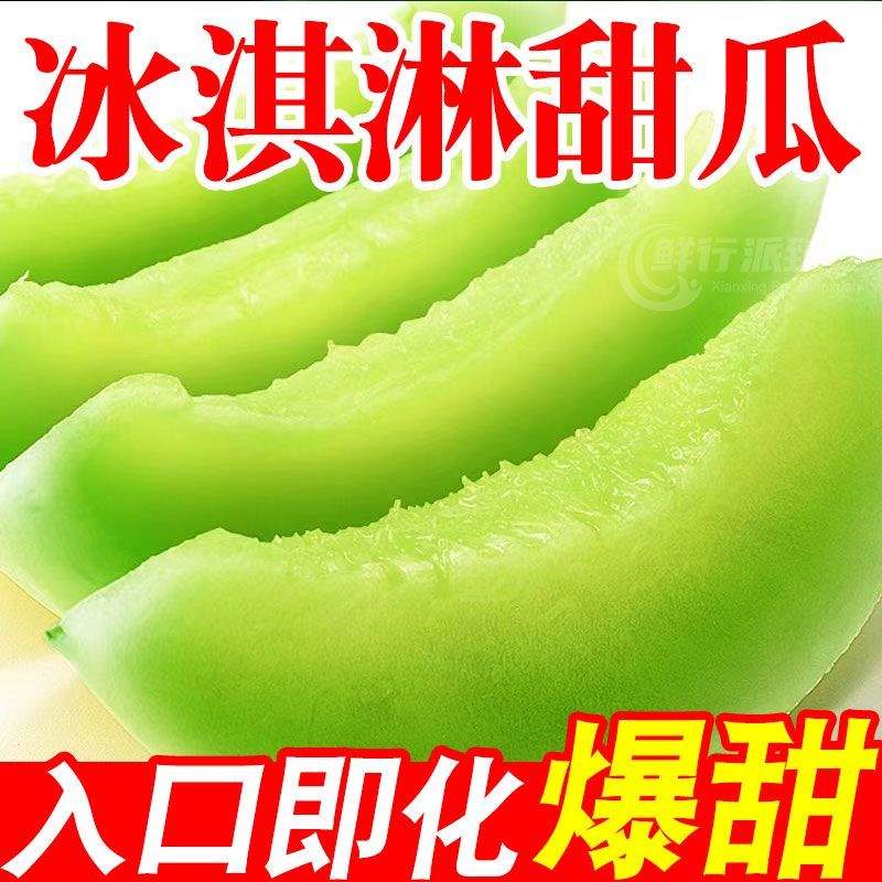 精品【玉菇甜瓜】基地直供质量保证一手货源全国发货