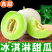 精品【玉菇甜瓜】基地直供质量保证一手货源全国发货