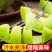 精品【玉菇甜瓜】基地直供质量保证一手货源全国发货