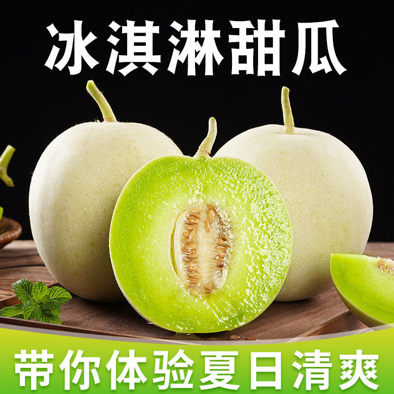 精品【玉菇甜瓜】基地直供质量保证一手货源全国发货