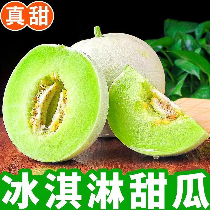 精品【玉菇甜瓜】基地直供质量保证一手货源全国发货