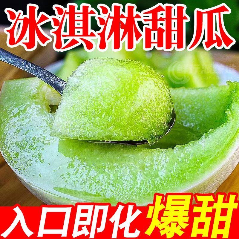 精品【玉菇甜瓜】基地直供质量保证一手货源全国发货