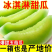 精品【玉菇甜瓜】基地直供质量保证一手货源全国发货