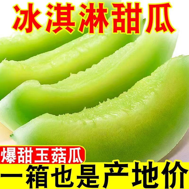 精品【玉菇甜瓜】基地直供质量保证一手货源全国发货