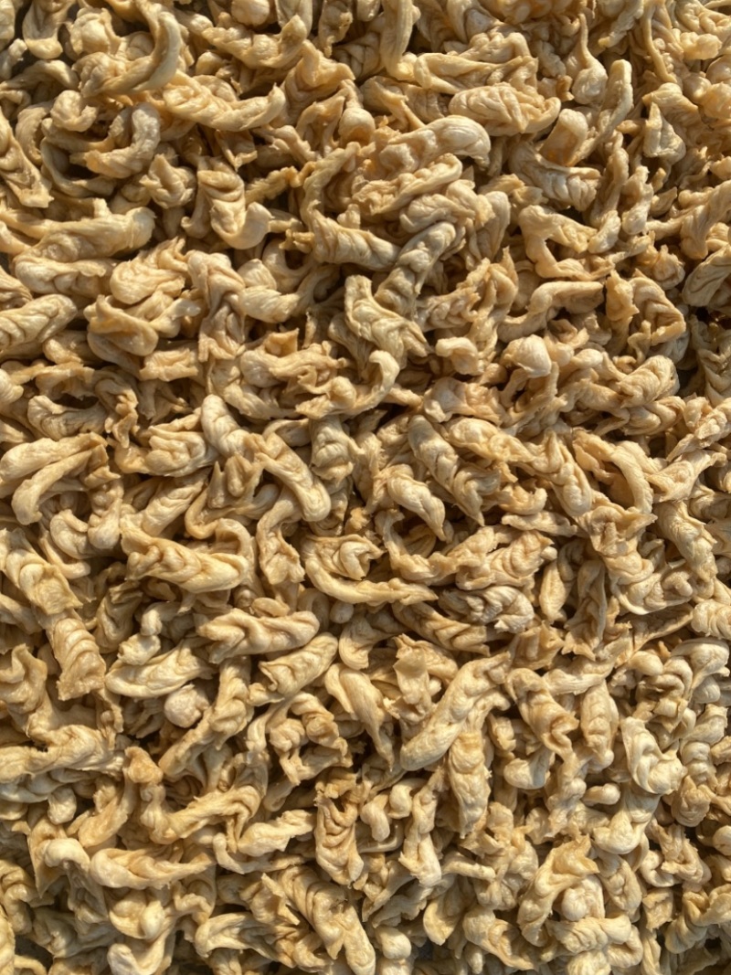 豆鱼豆制品豆耳娃娃鱼