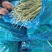 红帽蒜薹河南蒜薹精品新鲜蒜苔产地直发一手货源电商市场商超