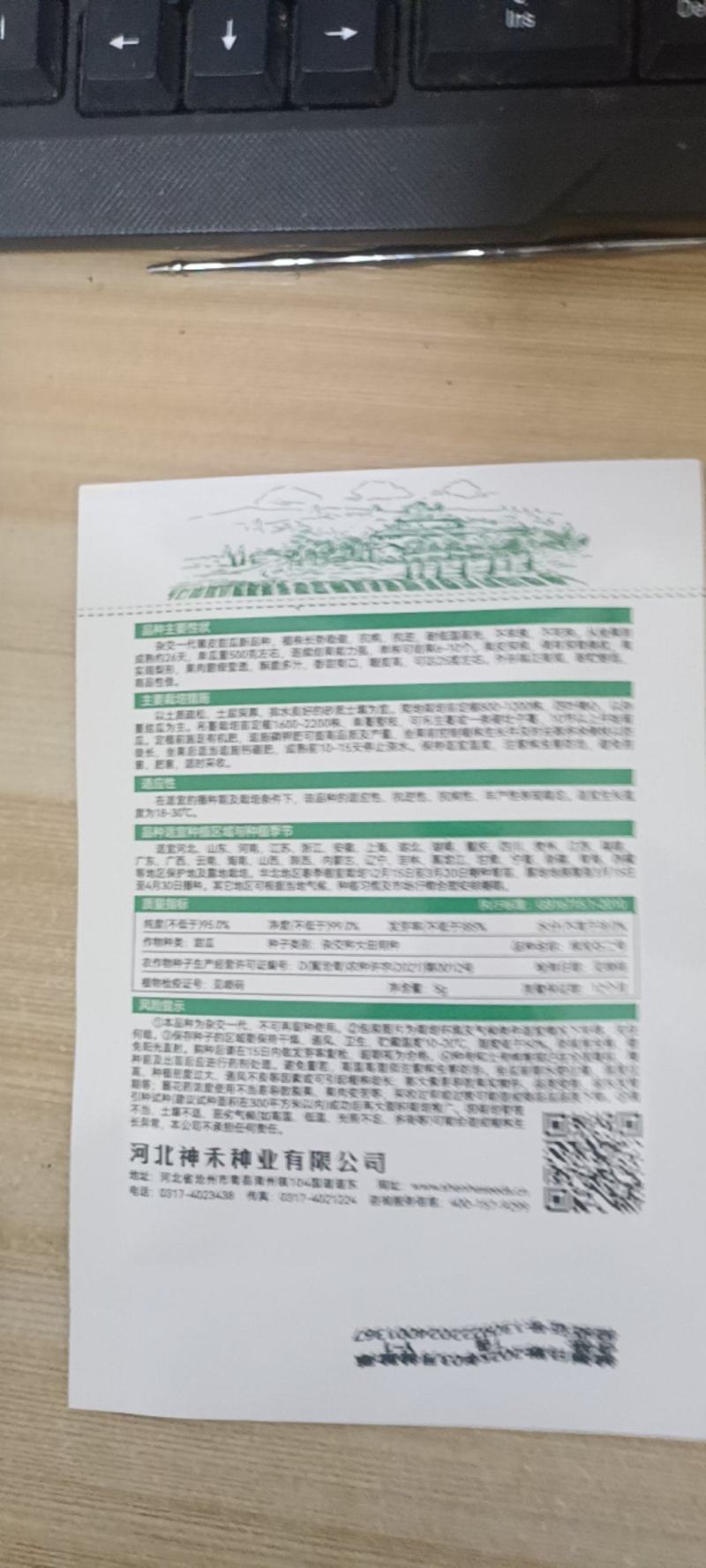 绿宝石甜瓜种子早熟薄皮甜瓜种子口感好易座果产量高
