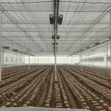 20亩冬暖棚5亩玻璃大棚出租设施用地水电齐全一年新棚