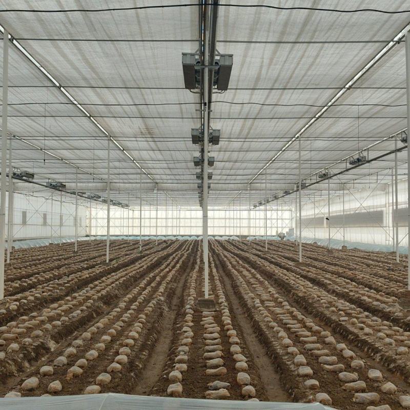 20亩冬暖棚5亩玻璃大棚出租设施用地水电齐全一年新棚