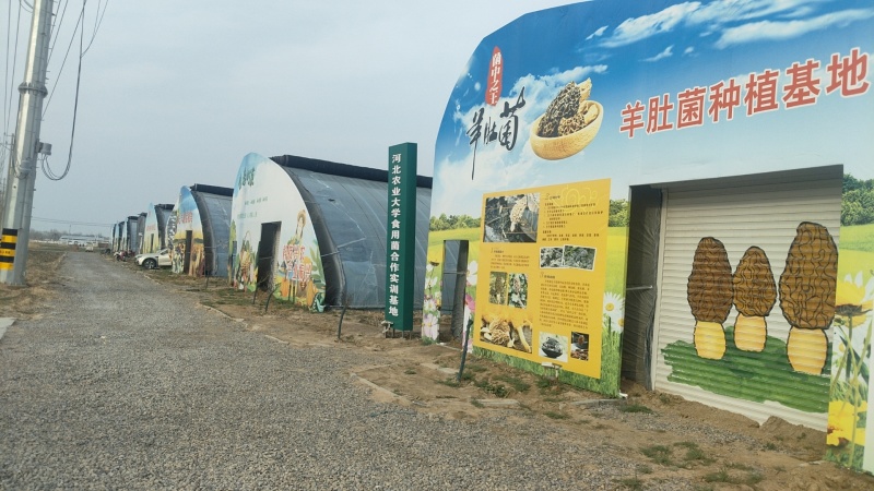 20亩冬暖棚5亩玻璃大棚出租设施用地水电齐全一年新棚