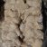鸡腿