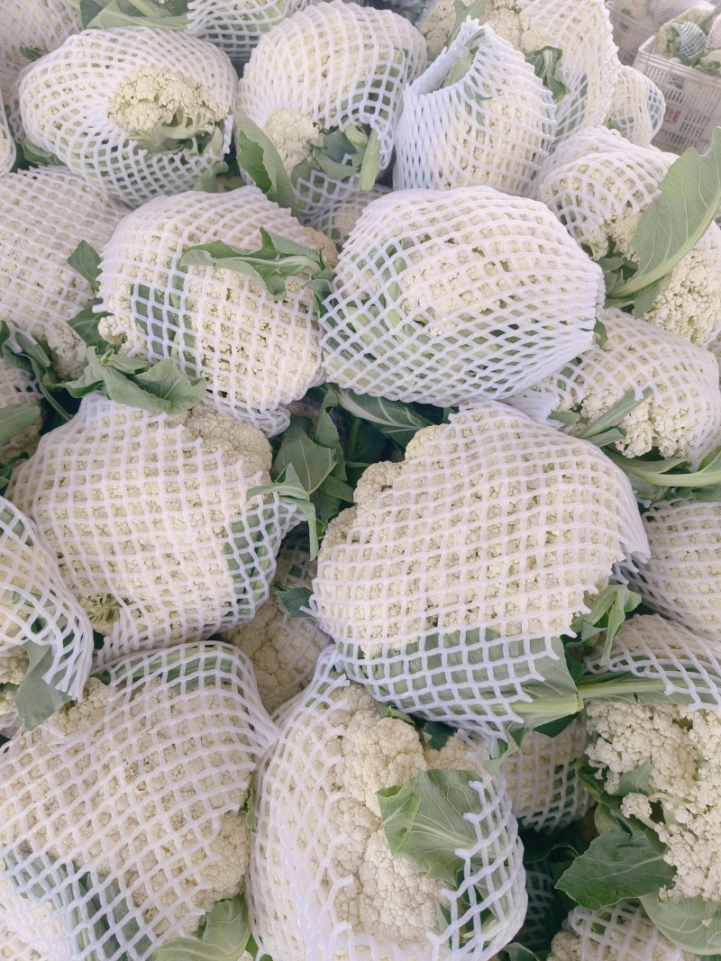 精品花菜