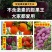 无激素不炸果不裂果不空果]进口膨果叶面肥瓜果蔬菜果树通