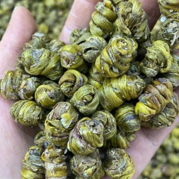 铁皮石斛枫斗云南大货批发产地一手货源