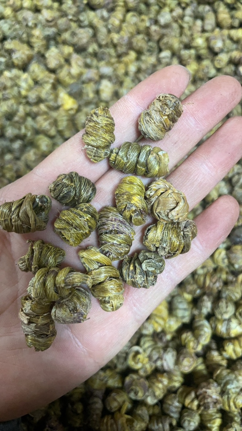 铁皮石斛枫斗云南大货批发产地一手货源