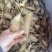 云南乌天麻片精选大片高品质天麻片