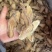 云南乌天麻片精选大片高品质天麻片