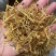 云南金银花品质好精品金银花