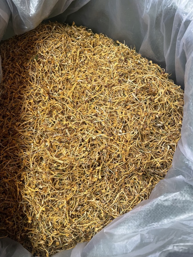 云南金银花品质好精品金银花