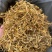云南金银花品质好精品金银花
