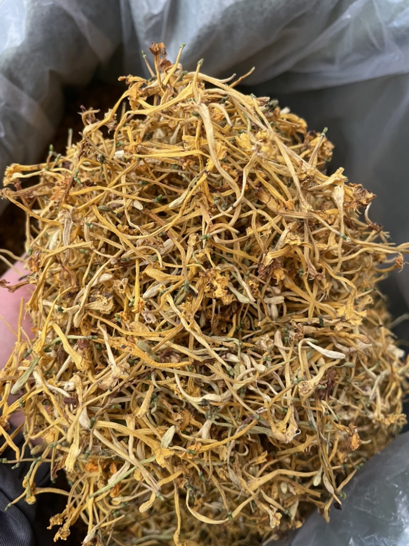 云南金银花品质好精品金银花