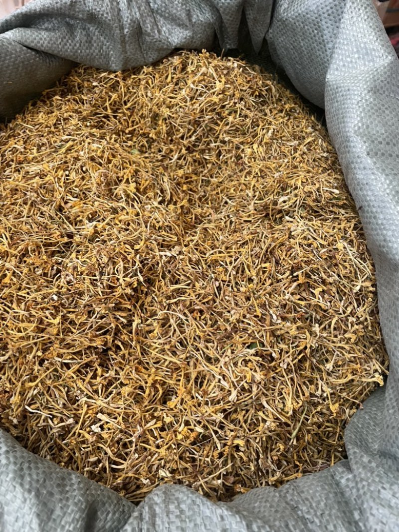云南金银花品质好精品金银花