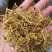 云南金银花品质好精品金银花