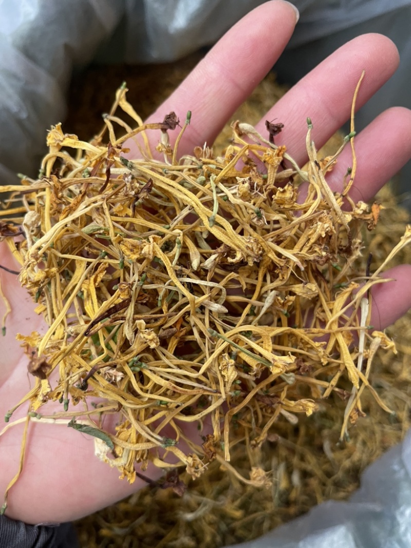 云南金银花品质好精品金银花