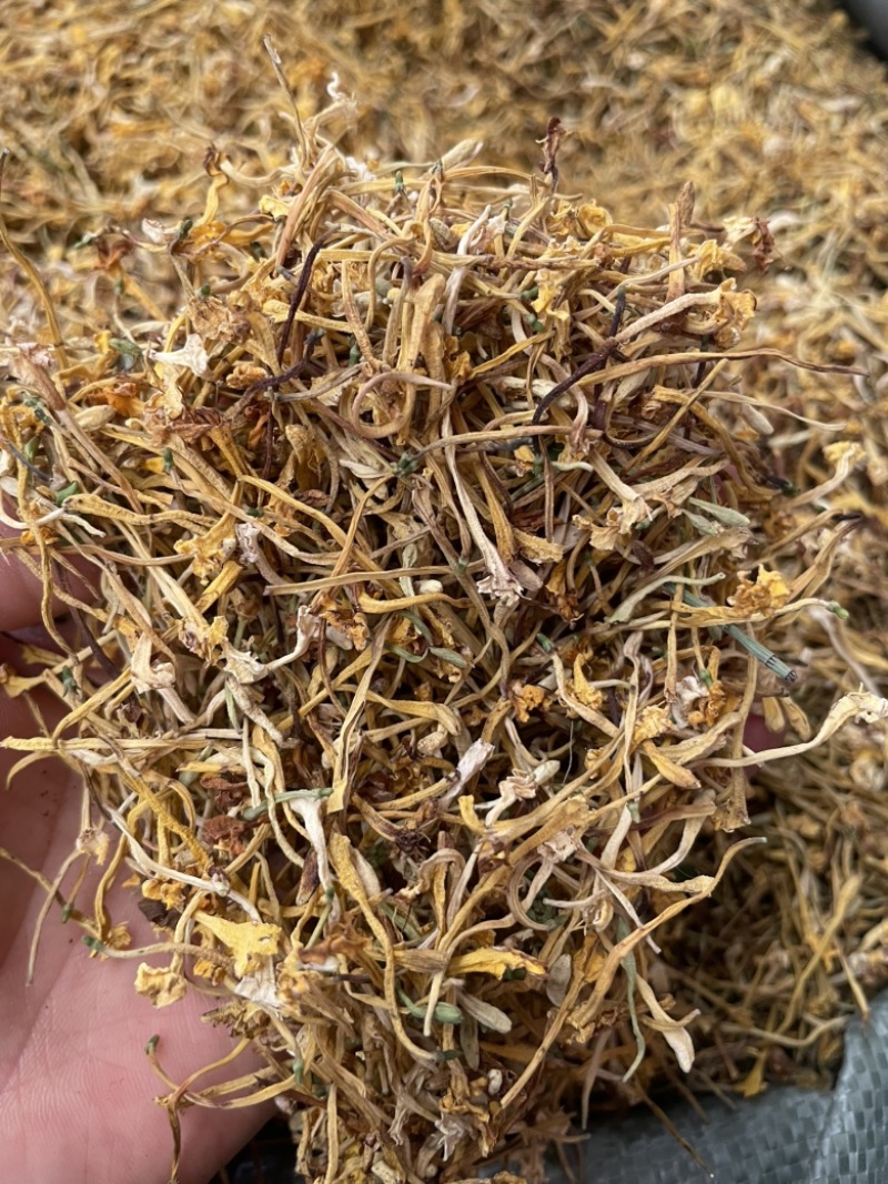 云南金银花品质好精品金银花