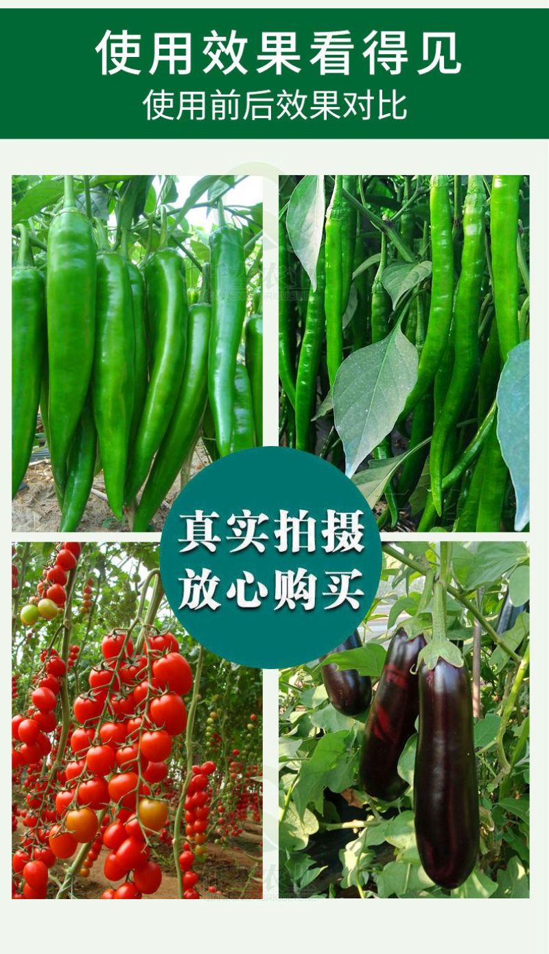 正品辣椒茄子拉长拉直素增粗增大膨大素防裂辣椒顺直