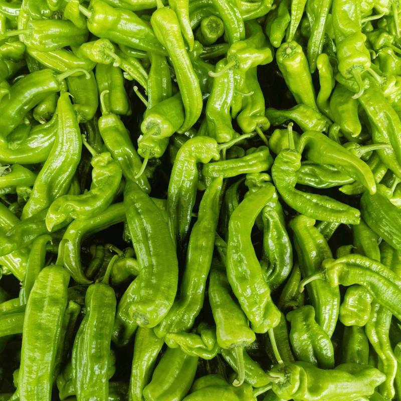 山东精品芜湖辣椒，龙椒，线椒。大量上市。