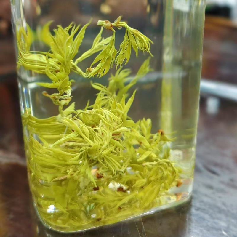 25年藤茶（莓茶）明前芽头，高品质，