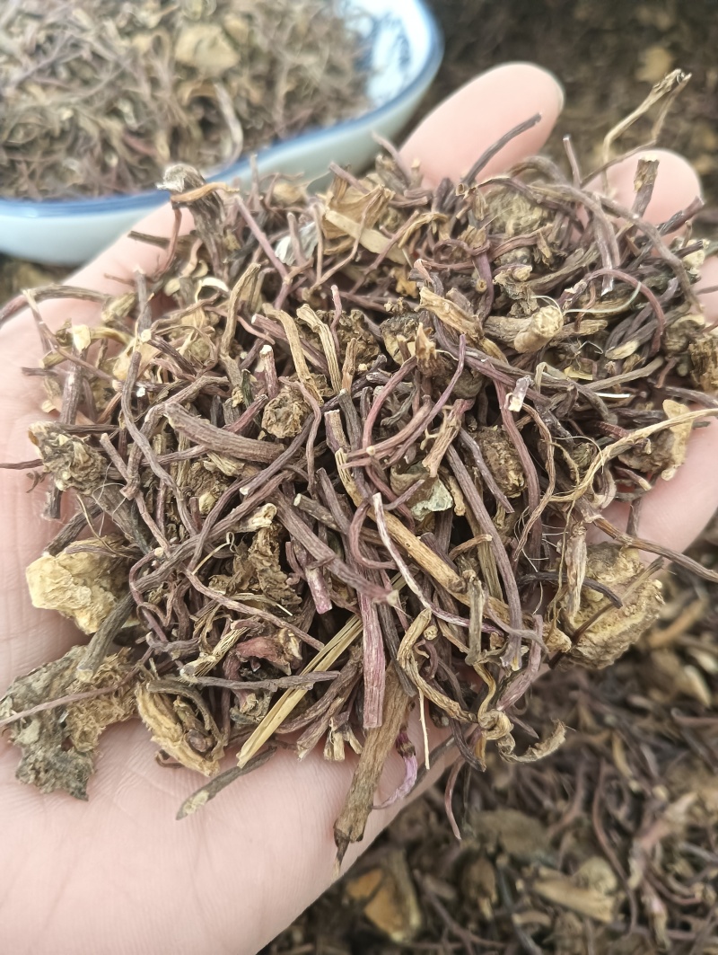 紫苑实拍紫苑欢迎选购量大优惠批发各种中药材