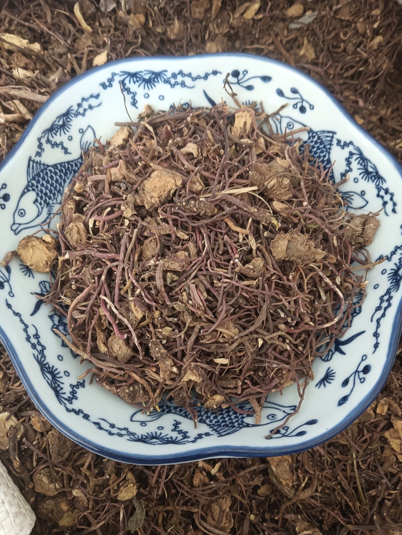 紫苑实拍紫苑欢迎选购量大优惠批发各种中药材