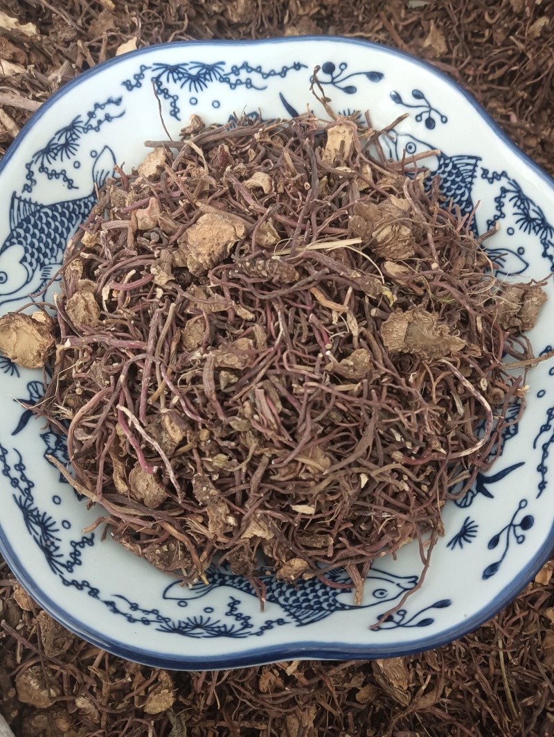 紫苑实拍紫苑欢迎选购量大优惠批发各种中药材